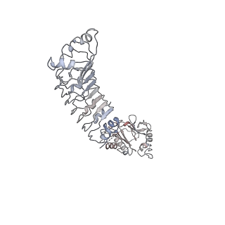 11519_6zxf_k_v1-1
Cryo-EM structure of a late human pre-40S ribosomal subunit - State G