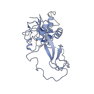 11519_6zxf_y_v1-1
Cryo-EM structure of a late human pre-40S ribosomal subunit - State G