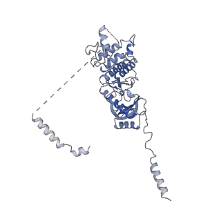 11519_6zxf_z_v1-1
Cryo-EM structure of a late human pre-40S ribosomal subunit - State G