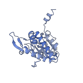 11520_6zxg_A_v1-1
Cryo-EM structure of a late human pre-40S ribosomal subunit - State H1