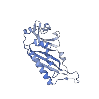 11520_6zxg_B_v1-1
Cryo-EM structure of a late human pre-40S ribosomal subunit - State H1