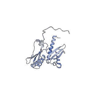 11520_6zxg_D_v1-1
Cryo-EM structure of a late human pre-40S ribosomal subunit - State H1