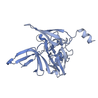 11520_6zxg_E_v1-1
Cryo-EM structure of a late human pre-40S ribosomal subunit - State H1