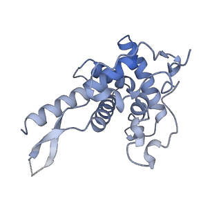 11520_6zxg_F_v1-1
Cryo-EM structure of a late human pre-40S ribosomal subunit - State H1