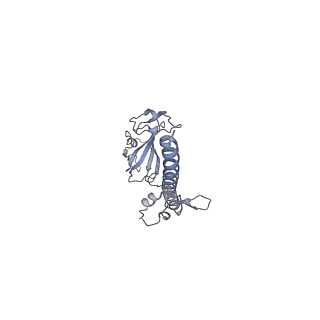 11520_6zxg_G_v1-1
Cryo-EM structure of a late human pre-40S ribosomal subunit - State H1