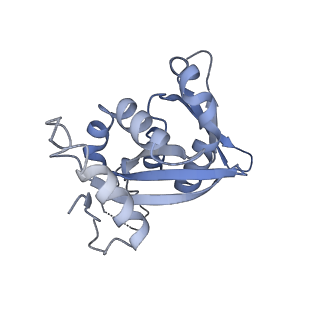 11520_6zxg_H_v1-1
Cryo-EM structure of a late human pre-40S ribosomal subunit - State H1