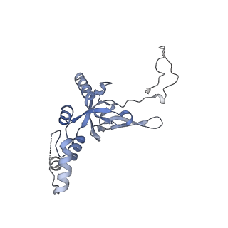 11520_6zxg_I_v1-1
Cryo-EM structure of a late human pre-40S ribosomal subunit - State H1