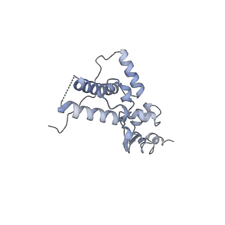 11520_6zxg_J_v1-1
Cryo-EM structure of a late human pre-40S ribosomal subunit - State H1