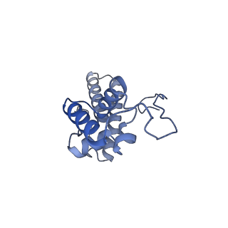 11520_6zxg_N_v1-1
Cryo-EM structure of a late human pre-40S ribosomal subunit - State H1
