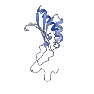 11520_6zxg_O_v1-1
Cryo-EM structure of a late human pre-40S ribosomal subunit - State H1