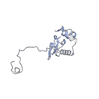 11520_6zxg_P_v1-1
Cryo-EM structure of a late human pre-40S ribosomal subunit - State H1