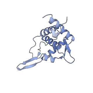 11520_6zxg_T_v1-1
Cryo-EM structure of a late human pre-40S ribosomal subunit - State H1