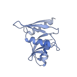 11520_6zxg_W_v1-1
Cryo-EM structure of a late human pre-40S ribosomal subunit - State H1