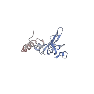 11520_6zxg_X_v1-1
Cryo-EM structure of a late human pre-40S ribosomal subunit - State H1