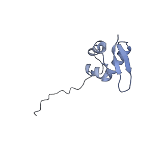 11520_6zxg_Z_v1-1
Cryo-EM structure of a late human pre-40S ribosomal subunit - State H1