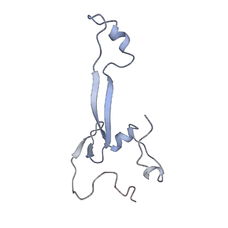 11520_6zxg_h_v1-1
Cryo-EM structure of a late human pre-40S ribosomal subunit - State H1