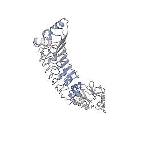 11520_6zxg_k_v1-1
Cryo-EM structure of a late human pre-40S ribosomal subunit - State H1