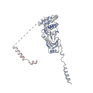 11520_6zxg_z_v1-1
Cryo-EM structure of a late human pre-40S ribosomal subunit - State H1