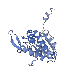 11521_6zxh_A_v1-0
Cryo-EM structure of a late human pre-40S ribosomal subunit - State H2