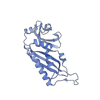 11521_6zxh_B_v1-0
Cryo-EM structure of a late human pre-40S ribosomal subunit - State H2