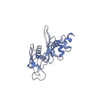 11521_6zxh_C_v1-0
Cryo-EM structure of a late human pre-40S ribosomal subunit - State H2