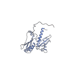 11521_6zxh_D_v1-0
Cryo-EM structure of a late human pre-40S ribosomal subunit - State H2