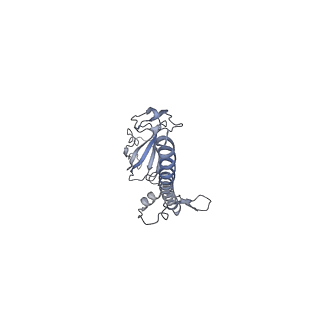 11521_6zxh_G_v1-0
Cryo-EM structure of a late human pre-40S ribosomal subunit - State H2
