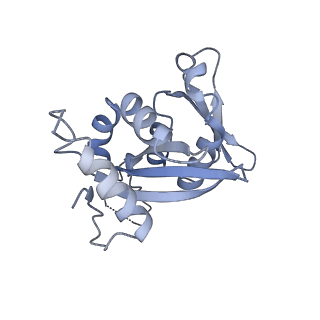11521_6zxh_H_v1-0
Cryo-EM structure of a late human pre-40S ribosomal subunit - State H2