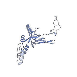 11521_6zxh_I_v1-0
Cryo-EM structure of a late human pre-40S ribosomal subunit - State H2