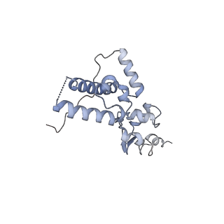 11521_6zxh_J_v1-0
Cryo-EM structure of a late human pre-40S ribosomal subunit - State H2