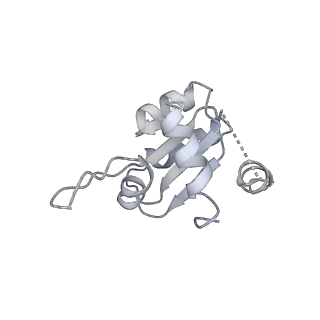 11521_6zxh_M_v1-0
Cryo-EM structure of a late human pre-40S ribosomal subunit - State H2