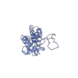 11521_6zxh_N_v1-0
Cryo-EM structure of a late human pre-40S ribosomal subunit - State H2