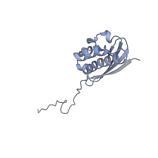 11521_6zxh_Q_v1-0
Cryo-EM structure of a late human pre-40S ribosomal subunit - State H2