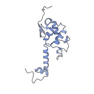 11521_6zxh_S_v1-0
Cryo-EM structure of a late human pre-40S ribosomal subunit - State H2
