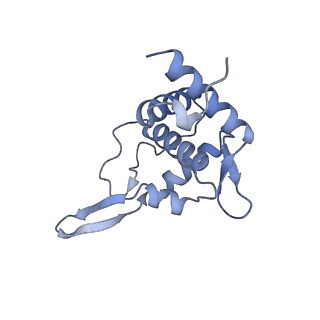 11521_6zxh_T_v1-0
Cryo-EM structure of a late human pre-40S ribosomal subunit - State H2