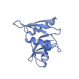 11521_6zxh_W_v1-0
Cryo-EM structure of a late human pre-40S ribosomal subunit - State H2