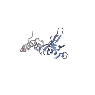 11521_6zxh_X_v1-0
Cryo-EM structure of a late human pre-40S ribosomal subunit - State H2