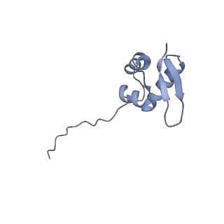 11521_6zxh_Z_v1-0
Cryo-EM structure of a late human pre-40S ribosomal subunit - State H2