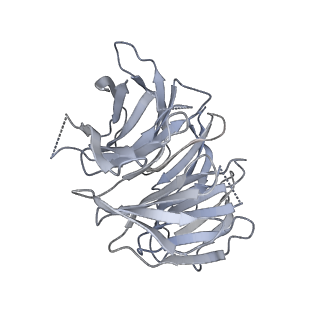 11521_6zxh_g_v1-0
Cryo-EM structure of a late human pre-40S ribosomal subunit - State H2