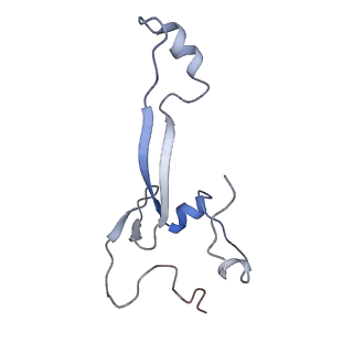 11521_6zxh_h_v1-0
Cryo-EM structure of a late human pre-40S ribosomal subunit - State H2