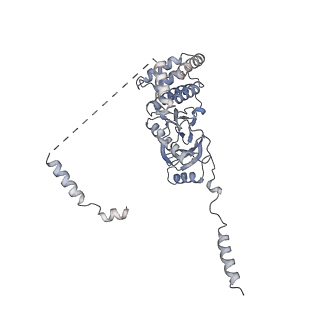 11521_6zxh_z_v1-0
Cryo-EM structure of a late human pre-40S ribosomal subunit - State H2