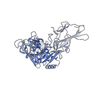 11522_6zxj_A_v1-0
Fully-loaded anthrax lethal toxin in its heptameric pre-pore state, in which the third lethal factor is masked out (PA7LF3-masked)