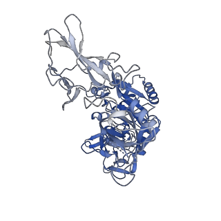 11522_6zxj_C_v1-0
Fully-loaded anthrax lethal toxin in its heptameric pre-pore state, in which the third lethal factor is masked out (PA7LF3-masked)