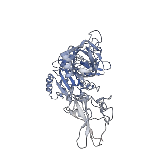 11523_6zxk_F_v1-0
Fully-loaded anthrax lethal toxin in its heptameric pre-pore state and PA7LF(2+1B) arrangement