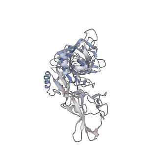 11524_6zxl_F_v1-0
Fully-loaded anthrax lethal toxin in its heptameric pre-pore state and PA7LF(2+1A) arrangement
