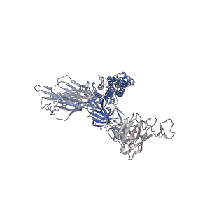 11526_6zxn_A_v1-0
Cryo-EM structure of the SARS-CoV-2 spike protein bound to neutralizing nanobodies (Ty1)