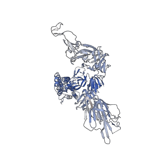 11526_6zxn_B_v1-0
Cryo-EM structure of the SARS-CoV-2 spike protein bound to neutralizing nanobodies (Ty1)