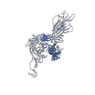 11526_6zxn_C_v1-0
Cryo-EM structure of the SARS-CoV-2 spike protein bound to neutralizing nanobodies (Ty1)
