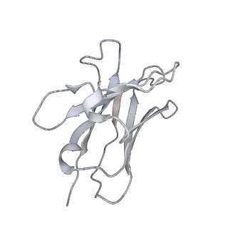11526_6zxn_D_v1-0
Cryo-EM structure of the SARS-CoV-2 spike protein bound to neutralizing nanobodies (Ty1)