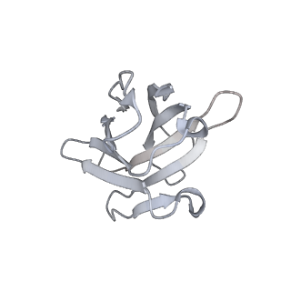 11526_6zxn_F_v1-0
Cryo-EM structure of the SARS-CoV-2 spike protein bound to neutralizing nanobodies (Ty1)